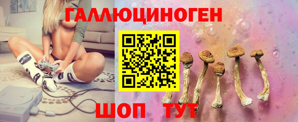 Псилоцибиновые грибы мицелий  Вход с VPN  Кизилюрт 