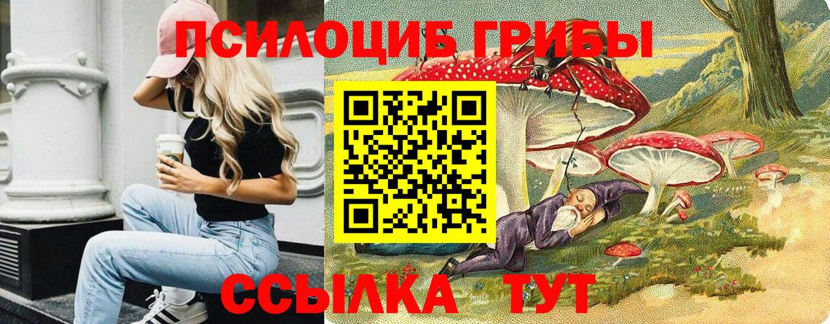 Галлюциногенные грибы MAGIC MUSHROOMS Кизилюрт